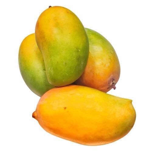 Kesar Mangoes (1dz)